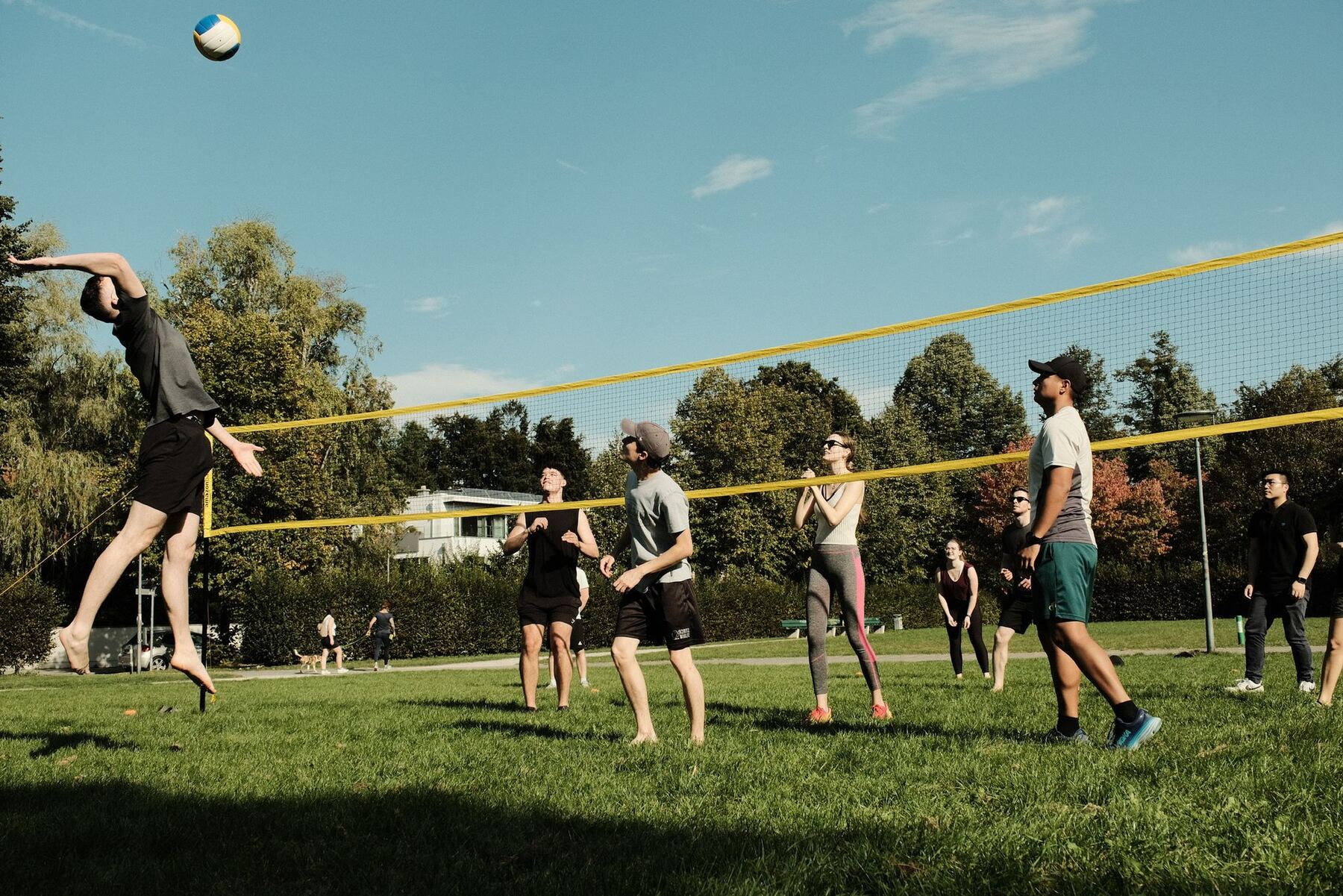 Volleyball im Park
